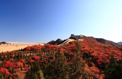 Badaling Forest Park - Beijing