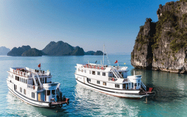 Top 10 cruises in Ha Long Bay