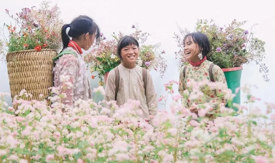 Spring is flower season in Ha Giang , best time for your discovery tour to the region of Vietnam