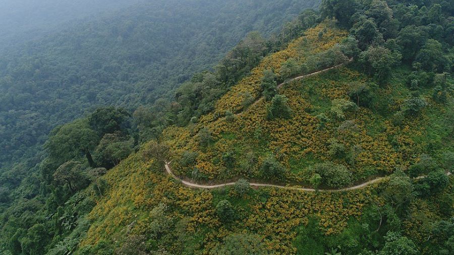 Why visit Hanoi? Explore Ba Vi’s trails, temples, and stunning green peaks