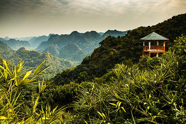 Cat Ba National Park