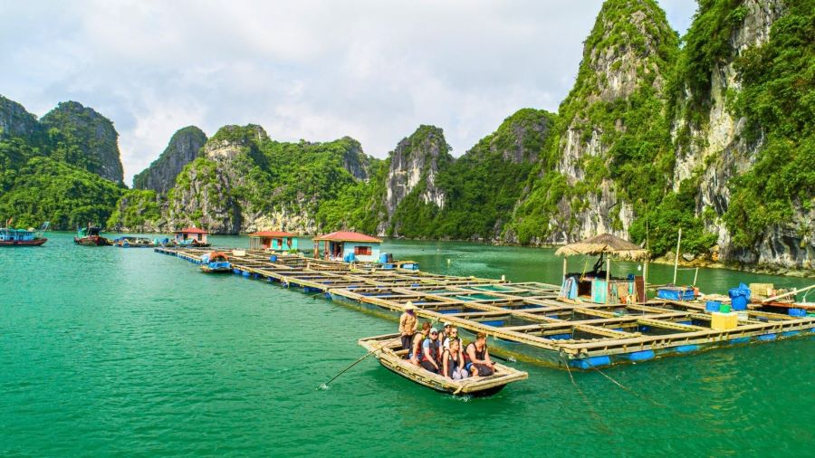 Ha Long in 2025 preserves timeless charm in Cua Van's floating beauty