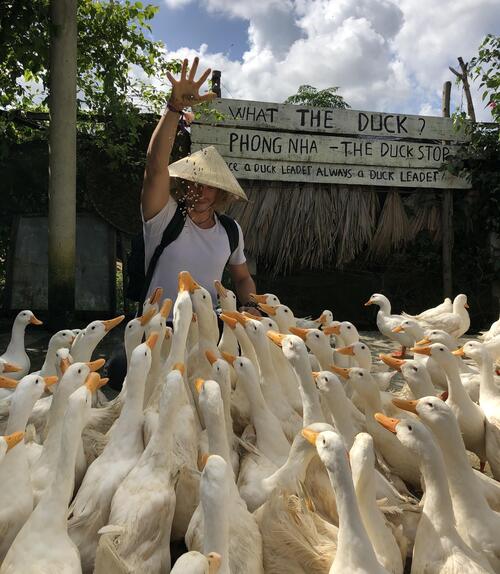 Become a Duck Leader at The Duck Stop