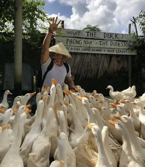 Become a Duck Leader at The Duck Stop