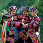 Best Vietnam Tours in 2026: The Ultimate Guide for Travelers