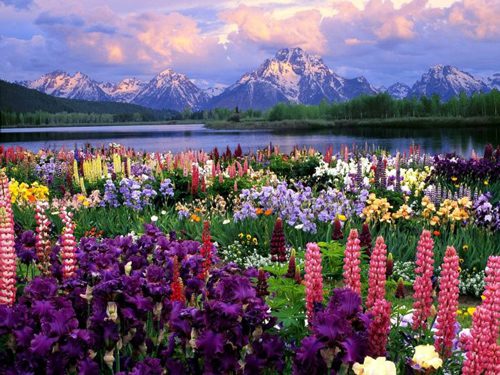 Kunming - Spring in China
