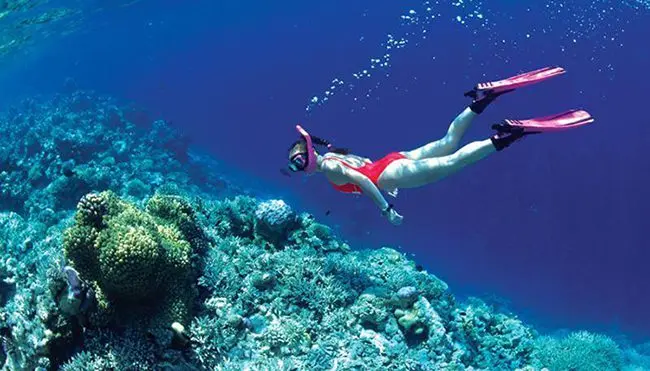 Scuba-diving at Hon Mun, Nha Trang 5 days in Nha Trang, Da Lat