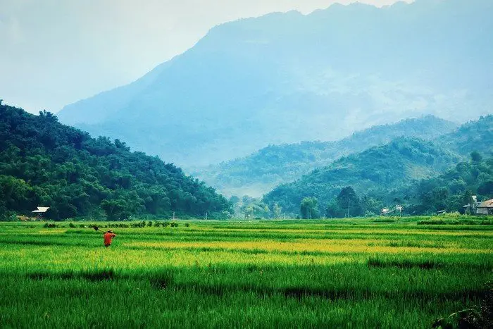 Mai Chau