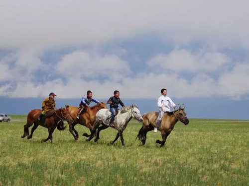 Naadam Grassland Festival