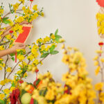 Travel to Vietnam in 2026: 8 Essential Tips Every Visitor Must Know