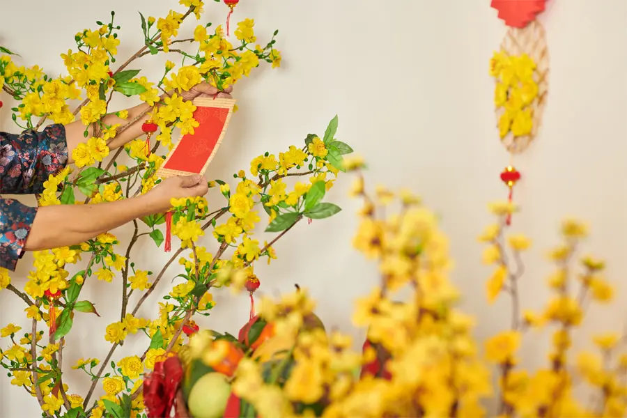 Vietnamese new year