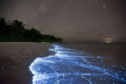 Phosphorescent sea in Koh Rong