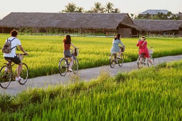 Peaceful scene in agricultural area