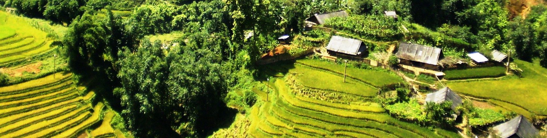 8 Days Fansipan Mountain Peak Challenge Tour