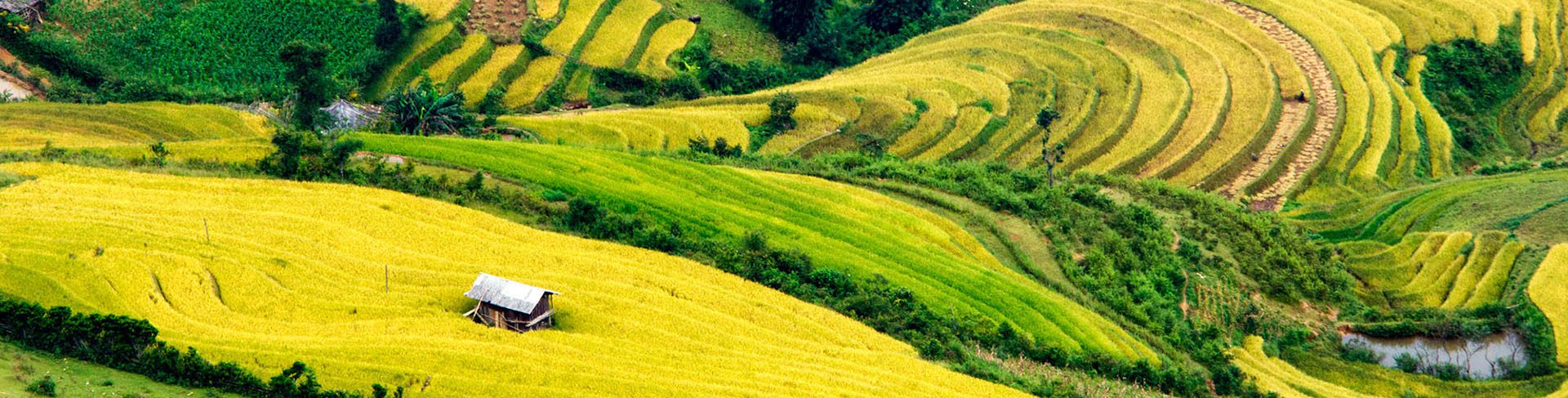 Hanoi – Sapa – Halong Luxury Package
