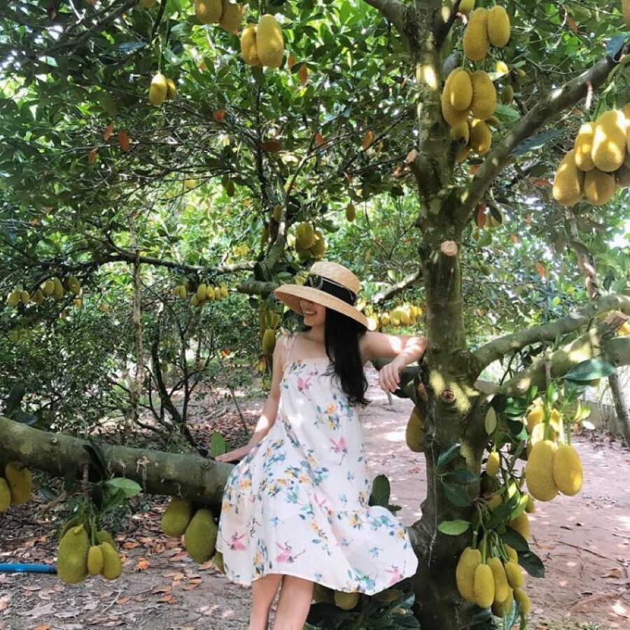 Cu Chi Tunnels Tour offers relaxing check-in spots at lush Trung An orchard.