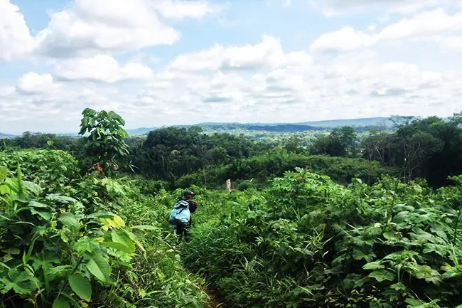 Immersing yourself into the nature in Kalai Jungle Trek