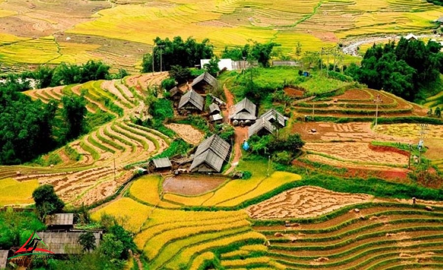 Terraced rice fields surround Lao Chai Village, echoing tradition and natural harmony.