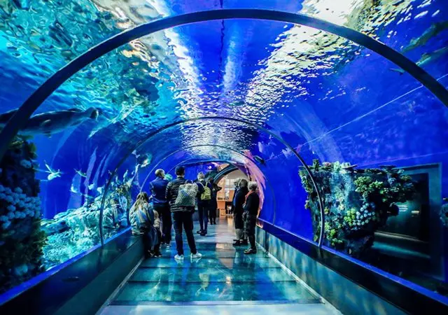 Tri Nguyen Aquarium