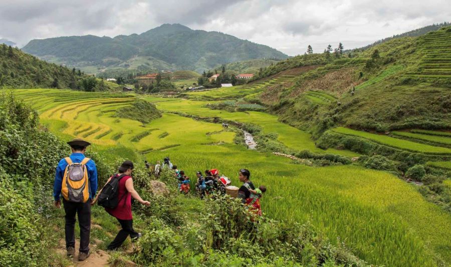 Vietnam History Tours blend scenic nature trails with stories etched deep in time