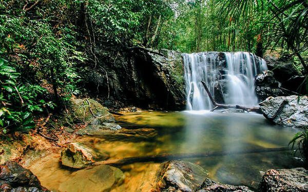 Wild beauty of Phu Quoc National Park