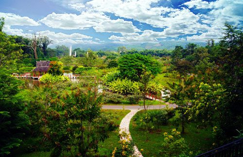 Xishuangbanna Tropical Botanical Garden