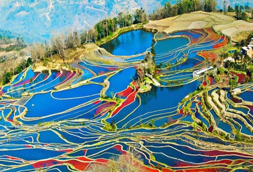 Yuanyang Rice Terraces